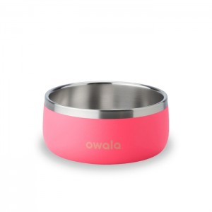 Owala Pet Bowl 3 cups Pet Bowl Coral USA | IH9-24722