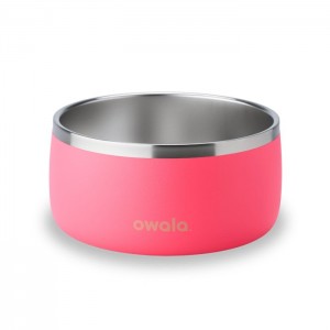 Owala Pet Bowl 6 cups Pet Bowl Coral USA | PY0-77917